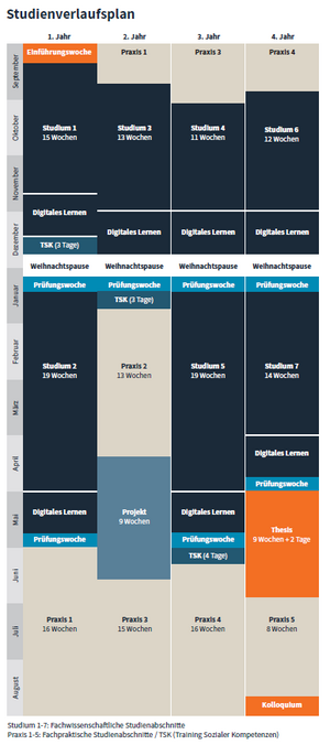 Das Bild zeigt den Studienverlaufsplan für das Teilzeitstudium. Quelle: HSPV NRW