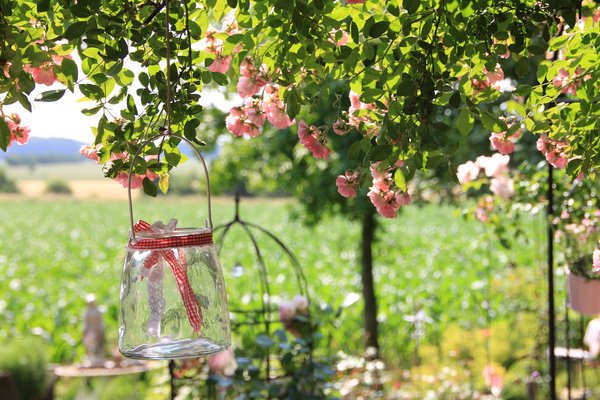 Ein schöner Garten. Garten. Foto: Kathrin Sliwa