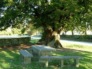 Freigerichtsplatz mit alter Linde in Büecke. Foto: M. Schauerte