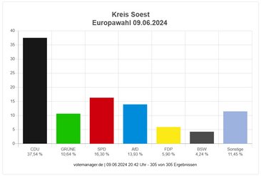 Vorläufiges amtliches Endergebnis der Europawahl 
