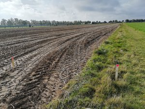 Kommunale Flächen werden mit Pflöcken markiert, um die Grenze zwischen Ackerfläche und kommunalen Wegsaum zu verdeutlichen. Foto: UNB/ Kreis Soest