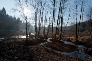 Zufluss des Möhnesees bei Sonnenschein. Foto: Franz Reichenberger
