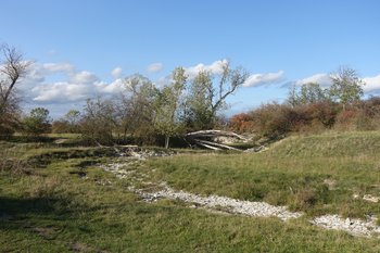 Blick ins das Naturschutzgebiet Talsystem der Pöppelsche. Foto: ABU