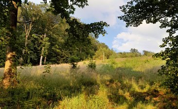 Waldbaden im Naturpark Arnsberger Wald