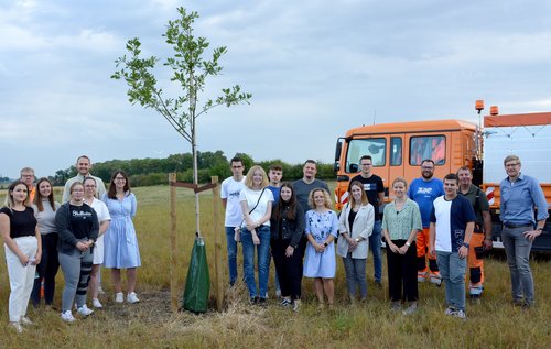 Das Bild zeigt den Einstellungsjahrgang 2022 sowie Personen vom Team Ausbildung, dem Baubetriebshof und der Abteilung Umwelt neben einer neu eingepflanzten Stieleiche. Foto: Christopher Nolte / Kreis Soest