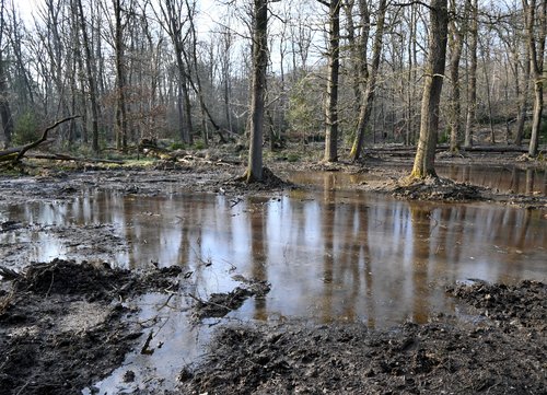 Insgesamt 48 Kilometer Entwässerungsgräben werden bis Ende 2027 zurückgebaut. Zwischen Torhaus und Jagdschloss Sankt Meinolf ist der Erfolg der Maßnahme bereits sichtbar. Foto: Susanne Schulte-Nölle/ Kreis Soest