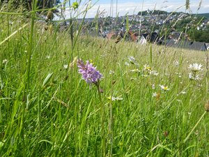 Kulissenerweiterung. Foto: Marko Kneisz/Kreis Soest