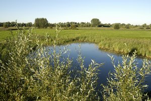 Kleiner Teich. Foto: Thomas Weinstock/ Kreis Soest