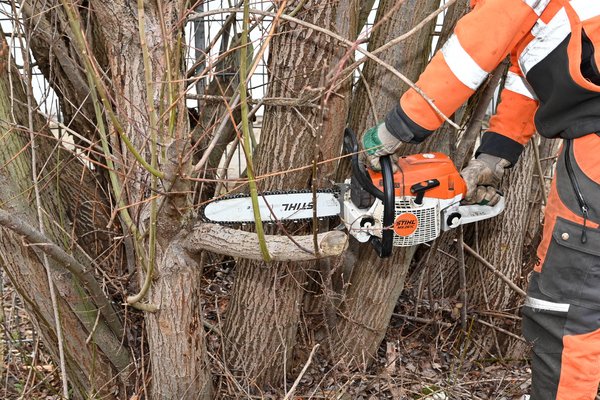 Baumpflege- und Fällarbeiten