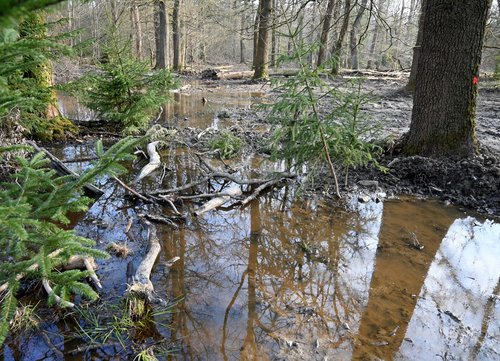 Wasserrückhaltevermögen wieder hergestellt