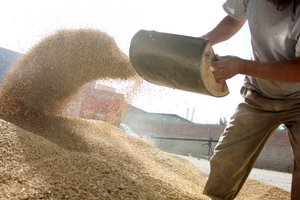 Futtermittel wird auf einen Haufen gekippt. Foto: © Kybele - Fotolia.com