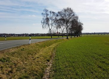 Der Kreis Soest saniert ab Montag, 27. Oktober, die Kreisstraße 45 zwischen Rüthen-Hemmern und Ortsschild Rüthen-Meiste. Foto: Christian Findeisen/ Kreis Soest Kreisstraße 45