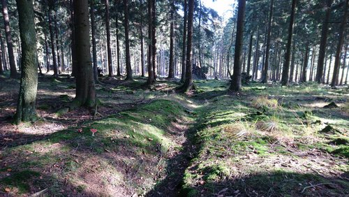 Entwässerungsgraben