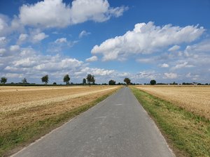 Feldfluraspekt im August - gemähte Wegränder; wenig Aufwuchs; kaum Blühaspekt. So fehlen wichtige Lebens- und Rückzugsräume für Insekten und andere Tier- und Pflanzenarten. Foto: UNB/ Kreis Soest
