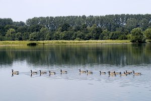 Enten auf dem Zachariassee. Foto: Thomas Weinstock/Kreis Soest Enten auf dem Zachariassee. Foto: Thomas Weinstock/Kreis Soest