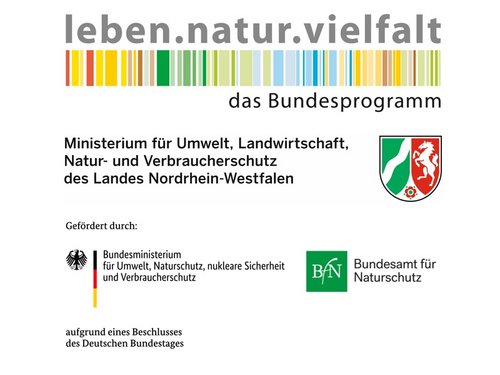Mehrere Logos: Logo "leben.natur.vielfalt - das Bundesprogramm" vom Ministerium für Umwelt, Landschaft, Natur- und Verbraucherschutz des Landes Nordrhein-Westfalen; Logo vom Bundesministerium für Umwelt, Naturschutz, nukleare Sicherheit und Verbraucherschutz; Logo vom Bundesamt für Naturschutz