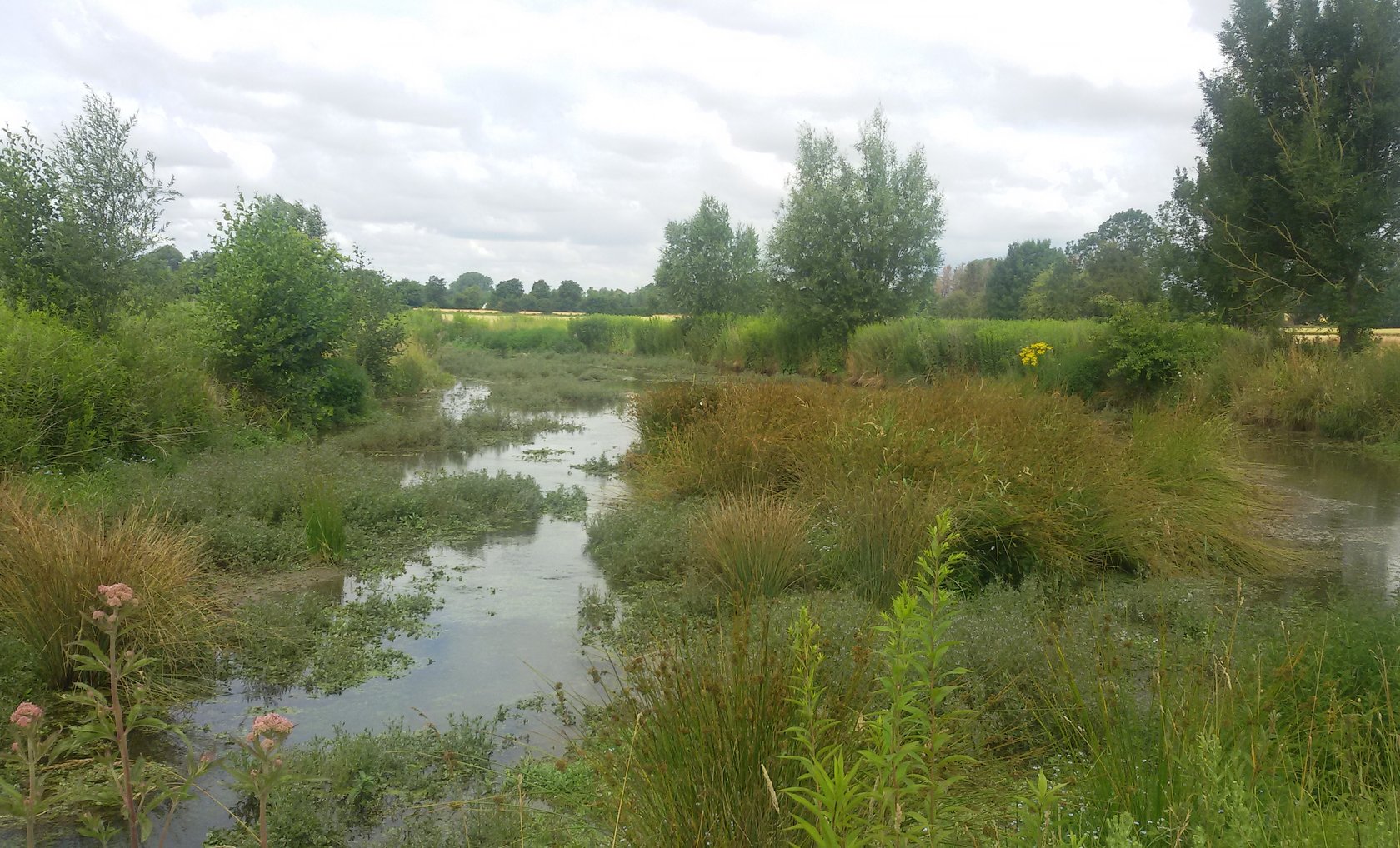 Hochwasserschutz in Werl-Mawicke, Wasserrückhaltung in der Aue. Foto: Stephan Streicher/ Kreis Soest Hochwasserschutz in Werl-Mawicke, Wasserrückhaltung in der Aue. Foto: Stephan Streicher/ Kreis Soest
