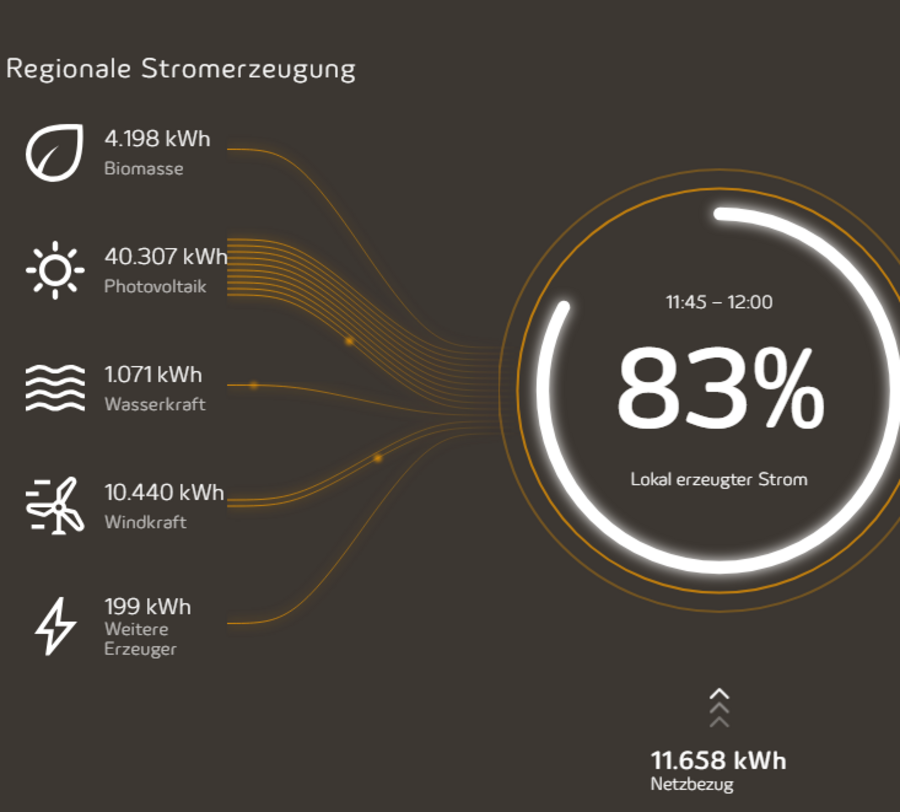 So sieht der Energiemonitor aus. Screenshot: Julian Richter/Kreis Soest