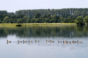Enten auf dem Zachariassee. Foto: Thomas Weinstock/Kreis Soest