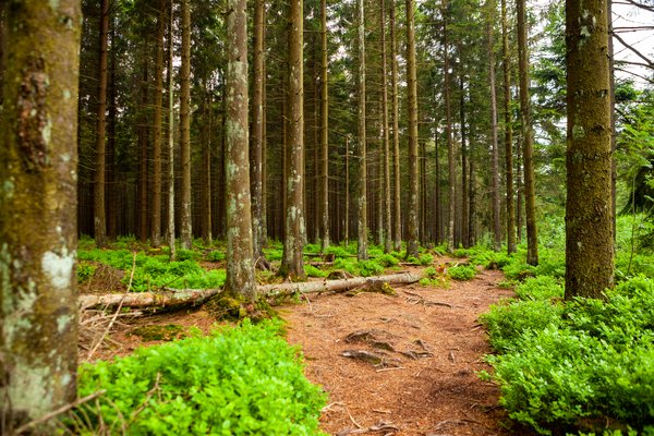 Foto: Tourismus NRW e.V.