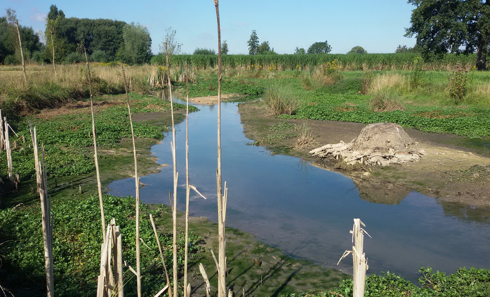 Hochwassersschutz in Werl-Mawicke, Gewässer mit Aue. Foto: Stephan Streicher/ Kreis Soest Hochwassersschutz in Werl-Mawicke, Gewässer mit Aue. Foto: Stephan Streicher/ Kreis Soest