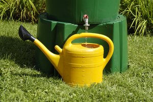 Gießkanne wird mit Regenwasser befüllt. Foto: Thomas Weinstock/ Kreis Soest Gießkanne wird mit Regenwasser befüllt. Foto: Thomas Weinstock/ Kreis Soest