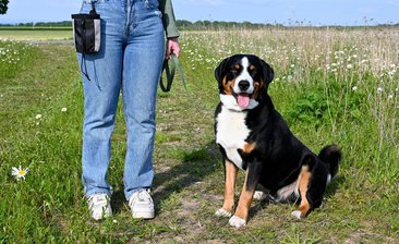 Anleinpflicht in Vogelschutzgebieten