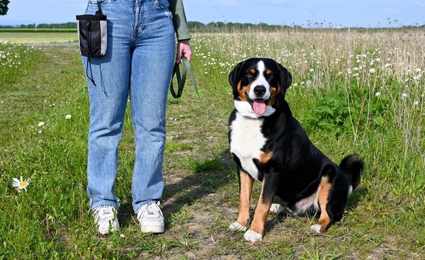 Anleinpflicht in Vogelschutzgebieten