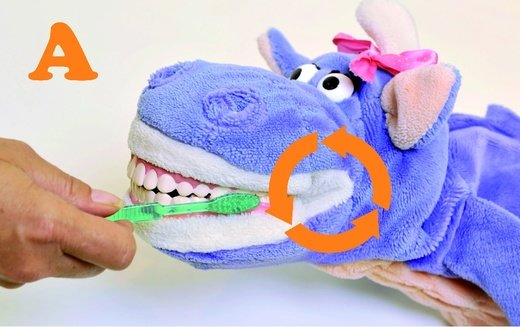 Mach Deine Zähne nun von außen sauber. Am besten geht das, wenn Du die Zähne ein bisschen fletschst. Dann mach mit Deiner Zahnbürste kleine Kreise. Fang mit den Backenzähnen an. Sie liegen ganz hinten. Arbeite Dich Zahn für Zahn bis zur Mitte vor. Dann ist die andere Seite dran. Achte darauf, dass Du keinen Zahn vergisst. 